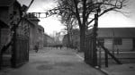Auschwitz.no Auschwitz.no